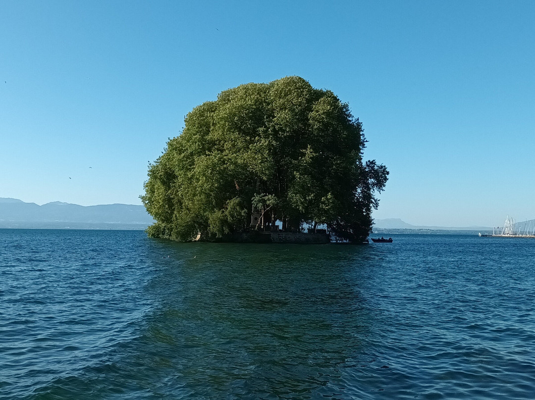Ile de la Harpe-Rolle必去景点