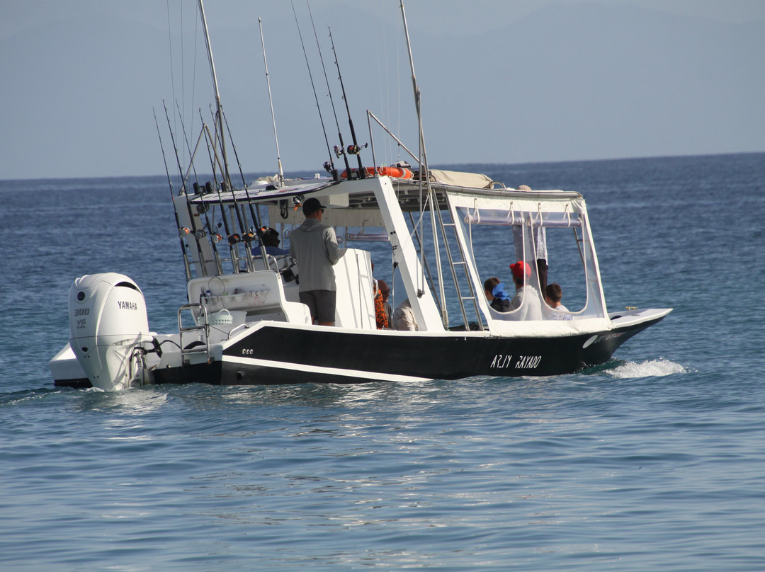 Matt's Fishing & Tours-萨迪纳尔必去景点