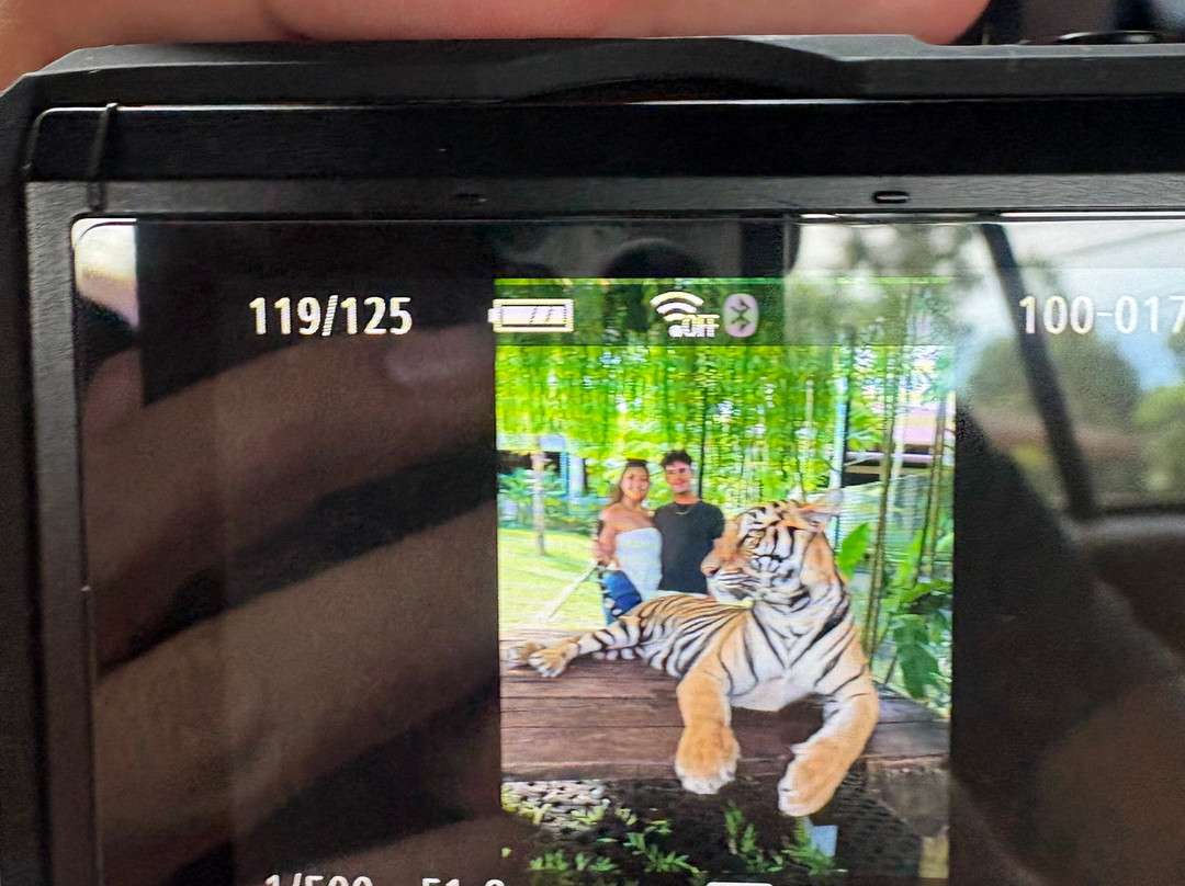 Tiger PARK Phuket-查龙必去景点