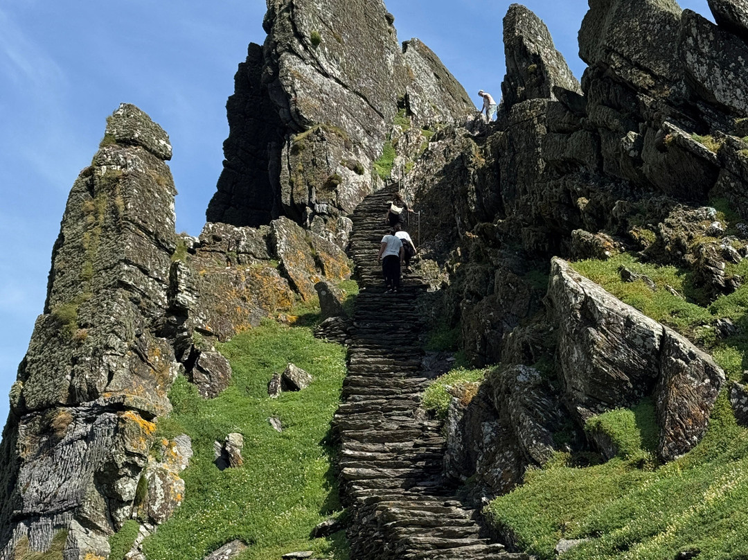 Skellig Falcon-Ballinskelligs必去景点