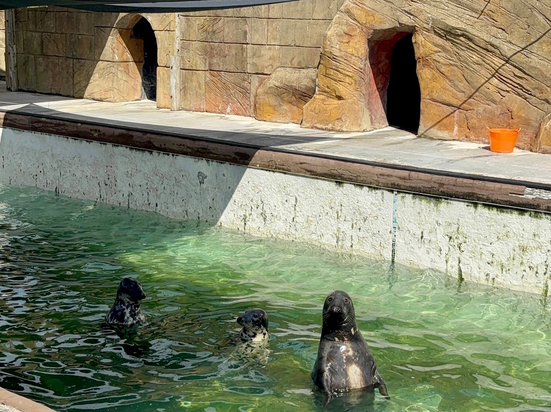 Cornish Seal Sanctuary-Gweek必去景点