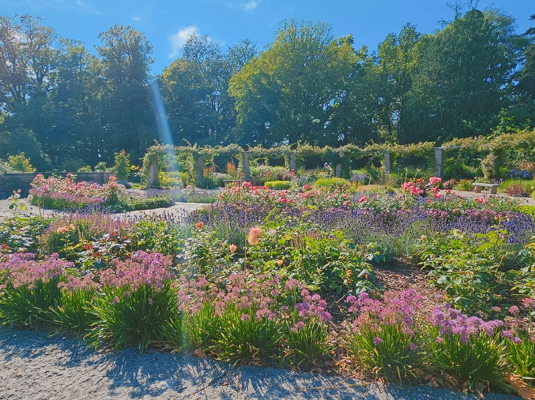 Botaniska Tradgarden-维斯比必去景点