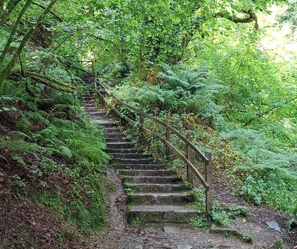 Dun A Ri Forest Park-Kingscourt必去景点