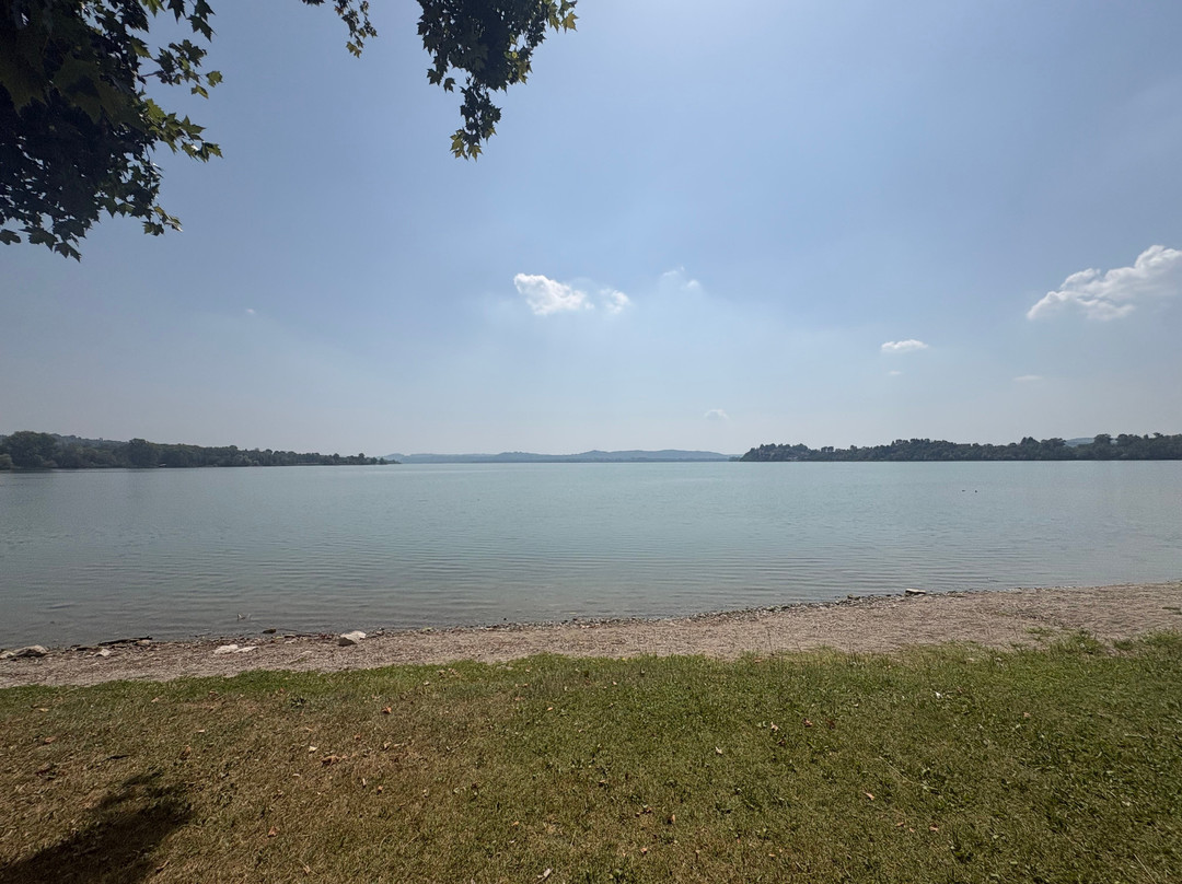 Noleggio Bici Varese 15€ Te Le Porto Dove Vuoi