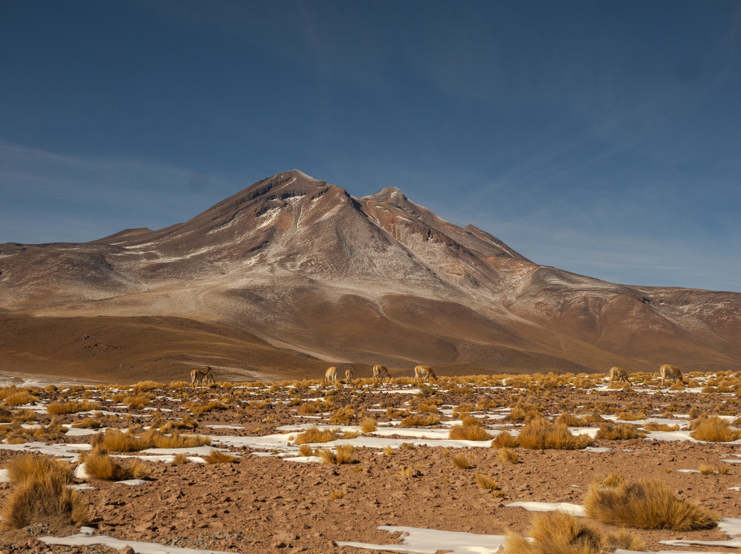 Volcán Licancabur-圣佩德罗-德阿塔卡马必去景点