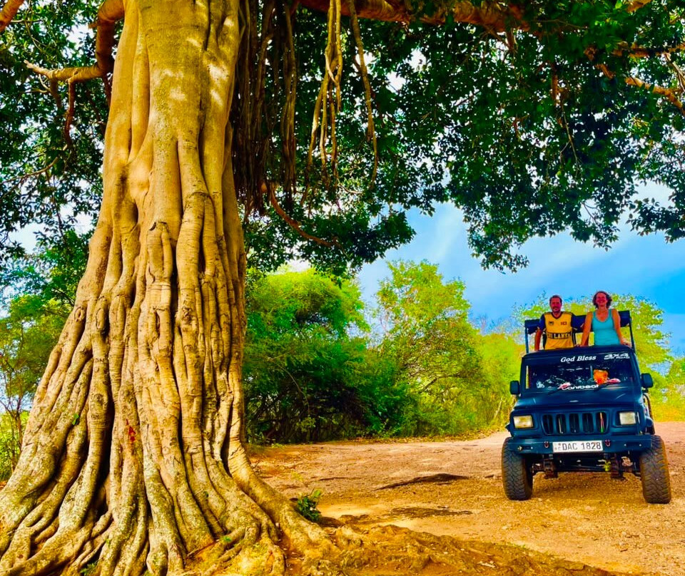 Udawalawe Safari Jeep With Guides-乌达瓦拉维国家公园必去景点