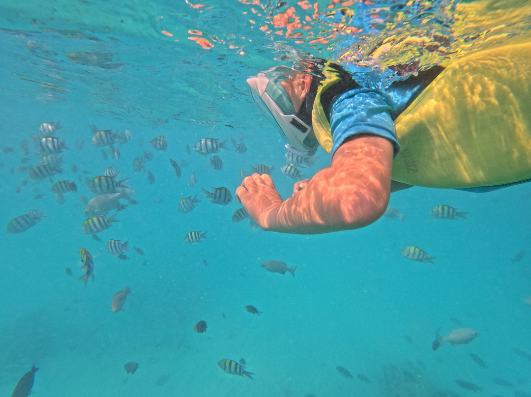 Hamza's Zanzibar Tours