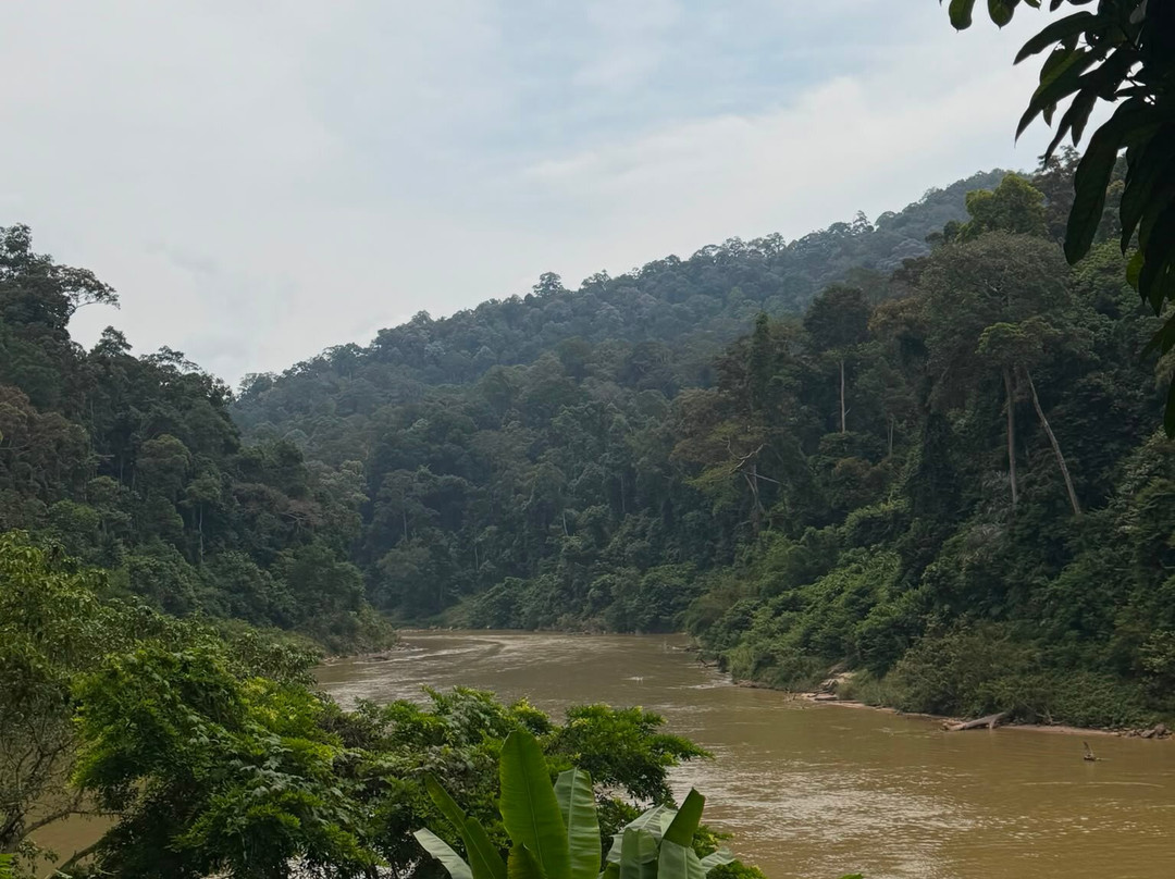 Taman Negara National Park-彭亨必去景点