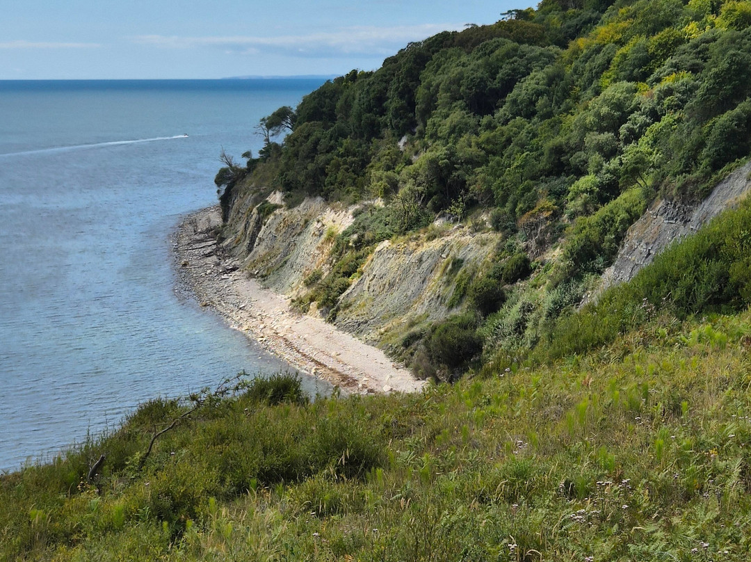 Lyme Regis Undercliff-莱姆里杰斯必去景点