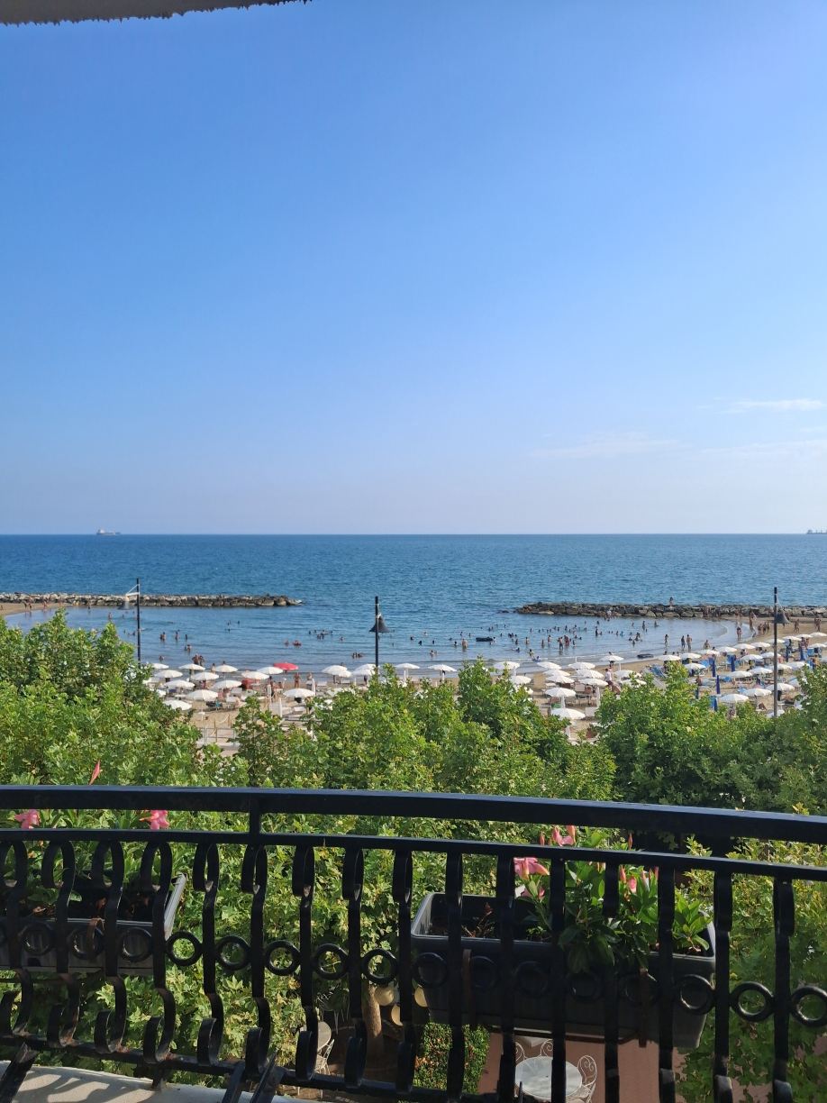 巴哈马海滩酒店-旅行者