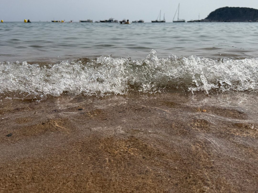 La Fosca Beach-Palamos必去景点