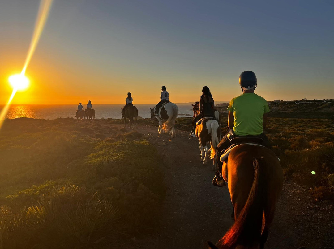 Carolina Ranch Escursioni e Tour-Sant'Antioco必去景点