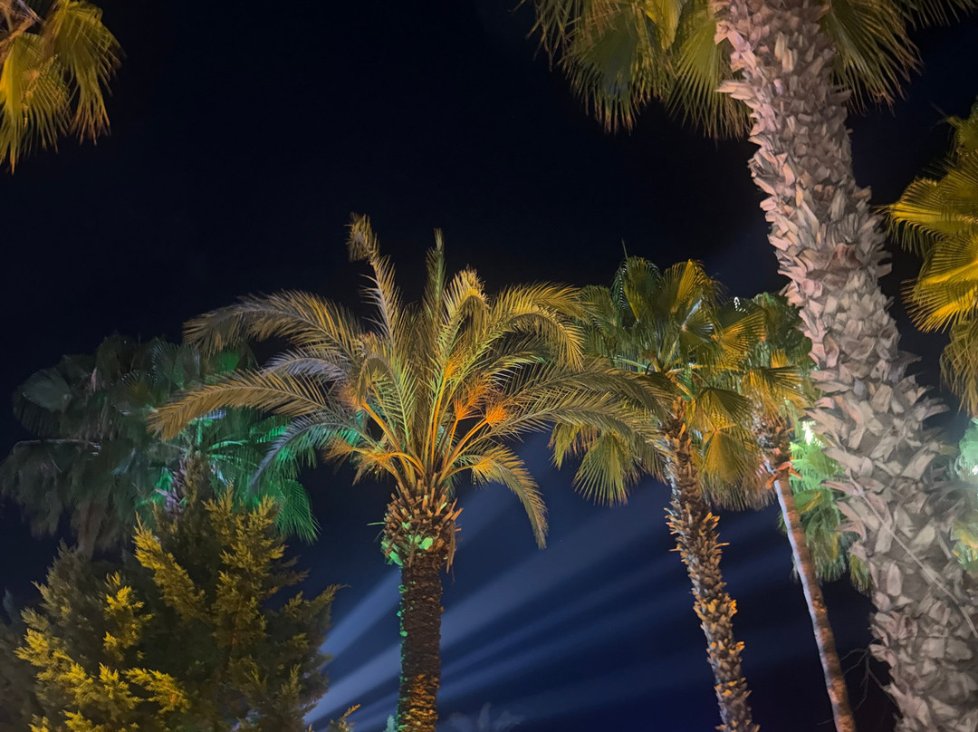 Holiday Park Resort - Ultra All İnclusive主图