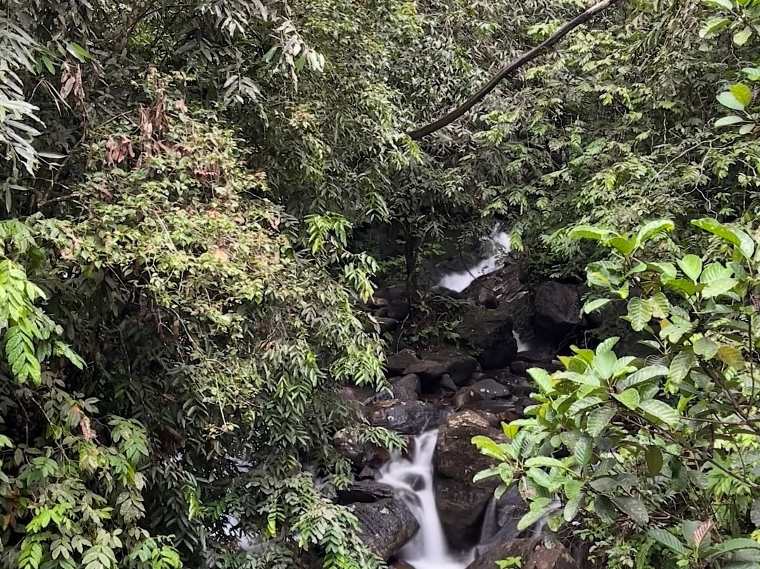 辛哈拉加森林保护区-Deniyaya必去景点