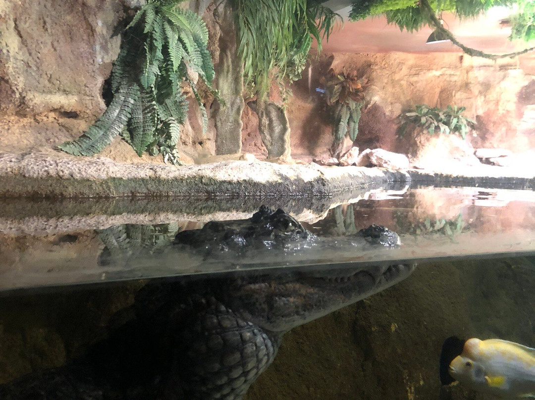 Aquarium De Touraine-Lussault-sur-Loire必去景点