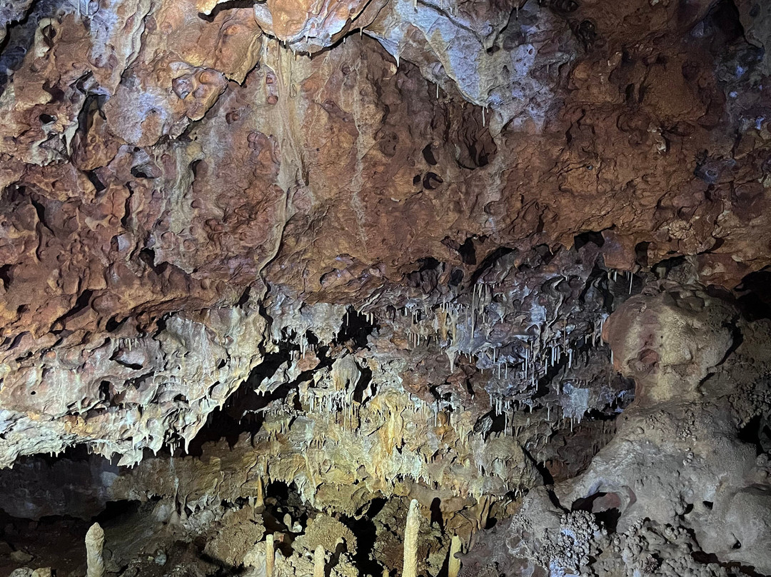 Aven Grotte Forestière-Orgnac-l'Aven必去景点