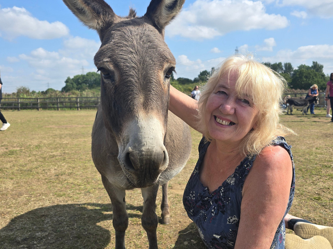 The Wonkey Donkey Visitors Centre-Knottingley必去景点