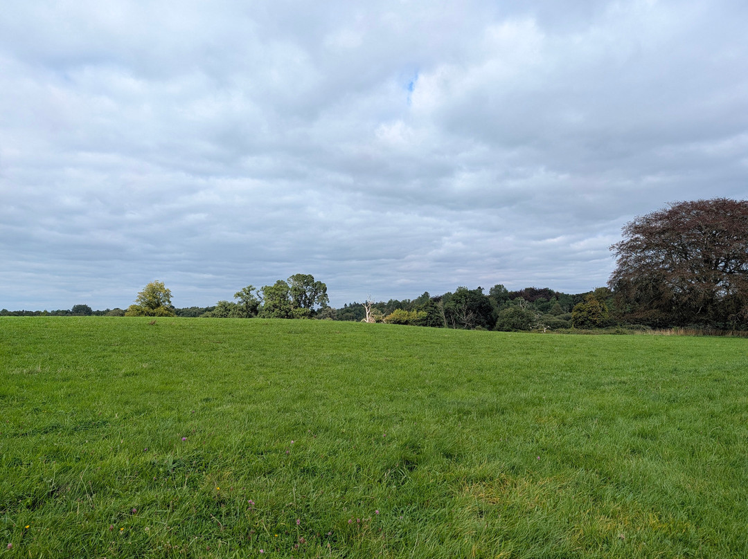 National Trust Crom Estate-Newtownbutler必去景点