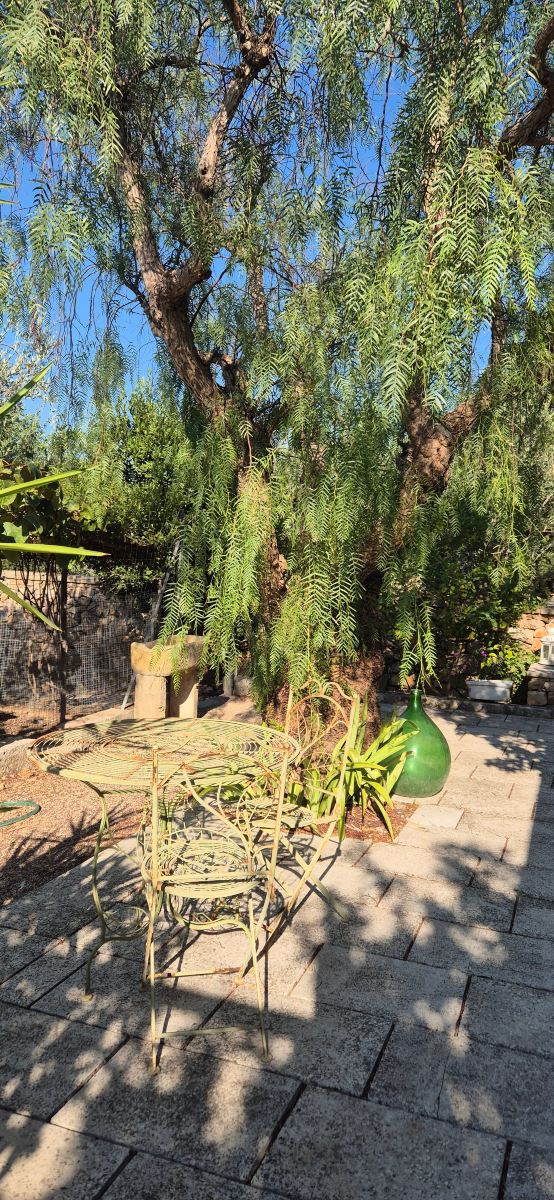 Villa Silmona B&B-旅行者
