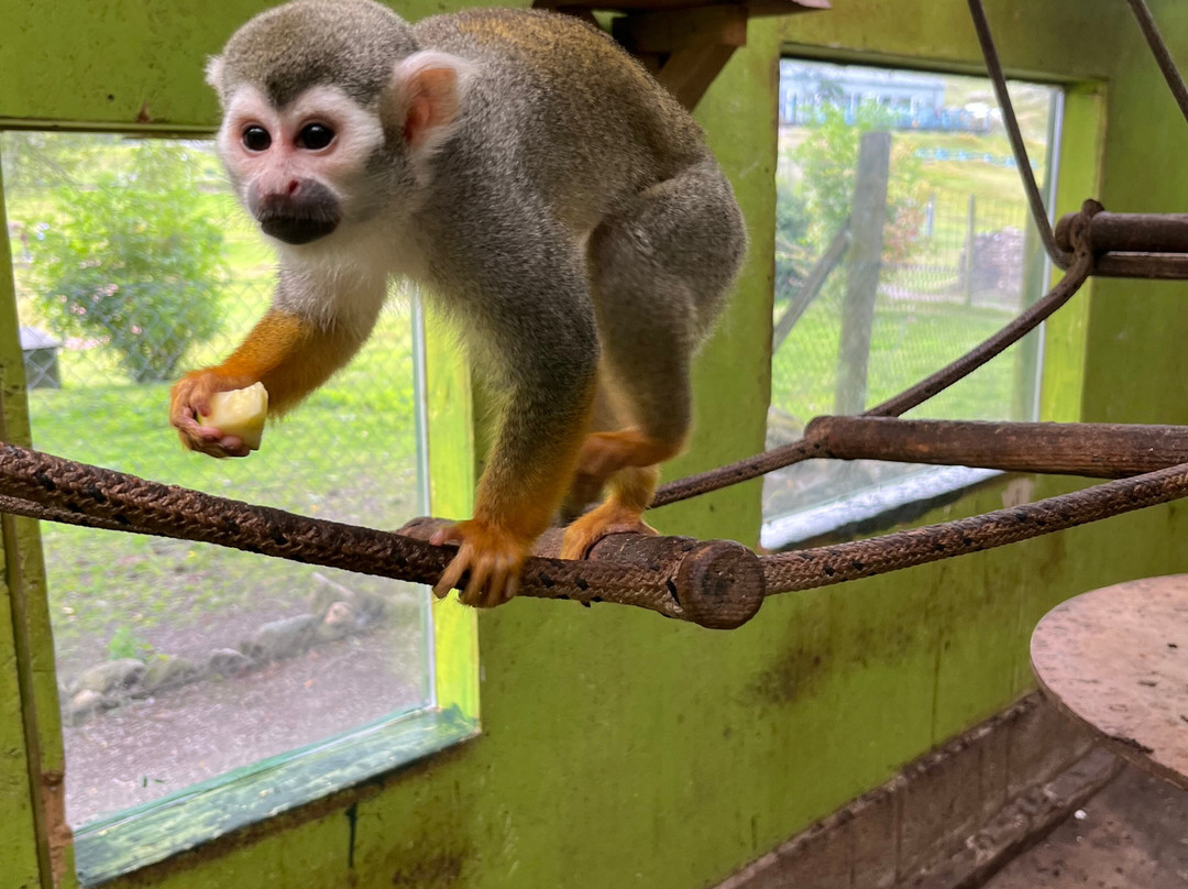 Auchingarrich Wildlife And Adventure Park-Comrie必去景点