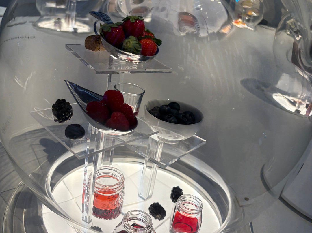 Cité des Climats et vins de Bourgogne-梅肯必去景点