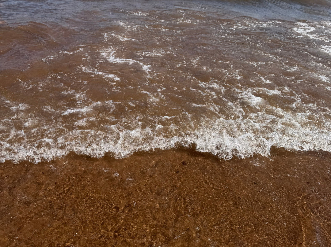 Dawlish Warren Beach-道利什必去景点