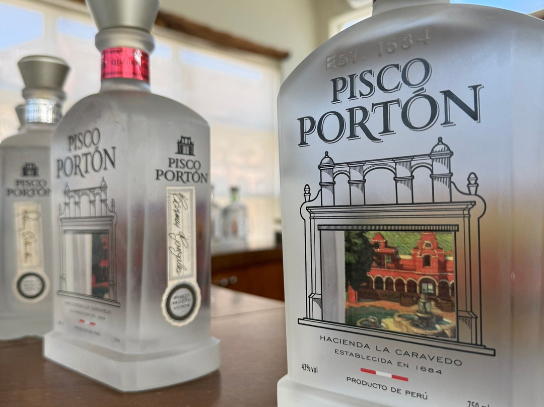 酒店和Hacienda La Caravedo农场主图