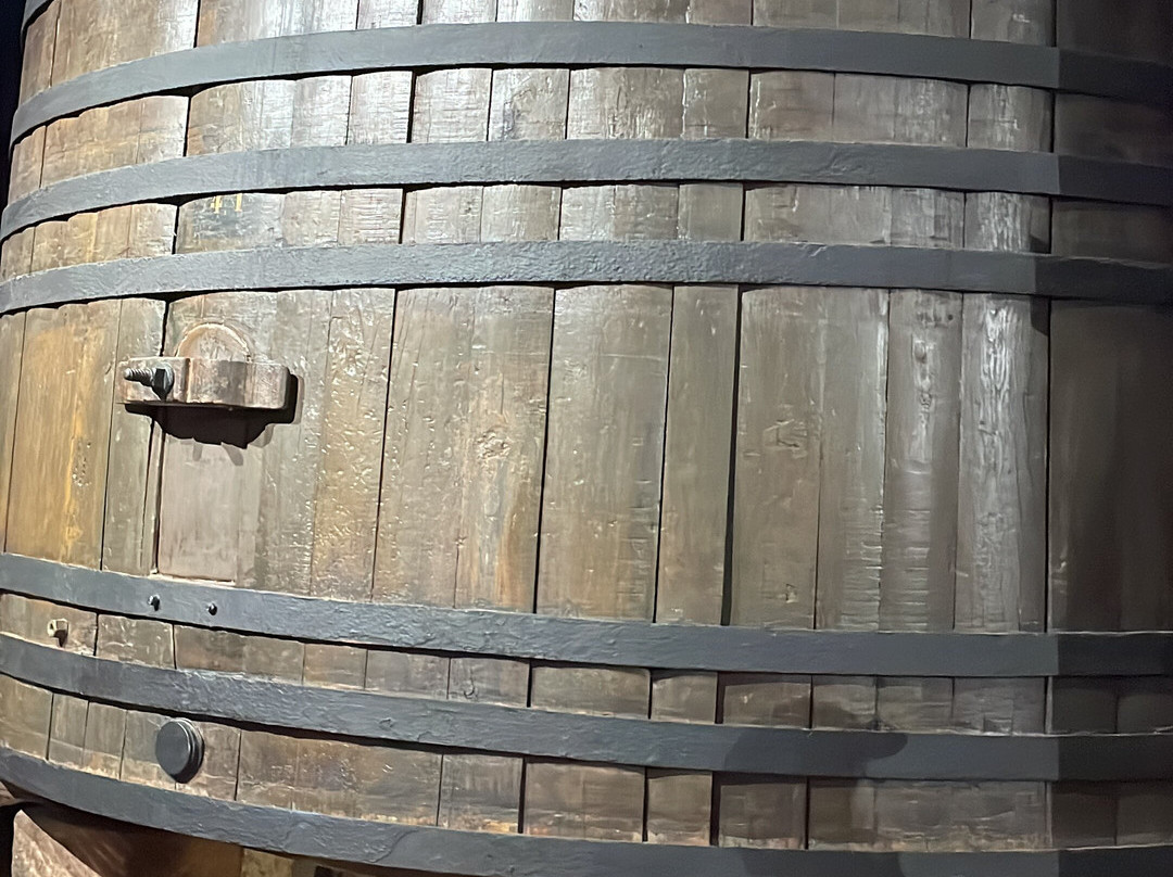 Bodegas Franco Espanolas-洛格罗尼奥必去景点