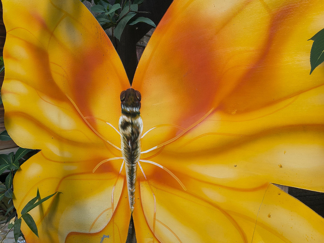 Butterfly Garden Sierra Nevada-Minca必去景点