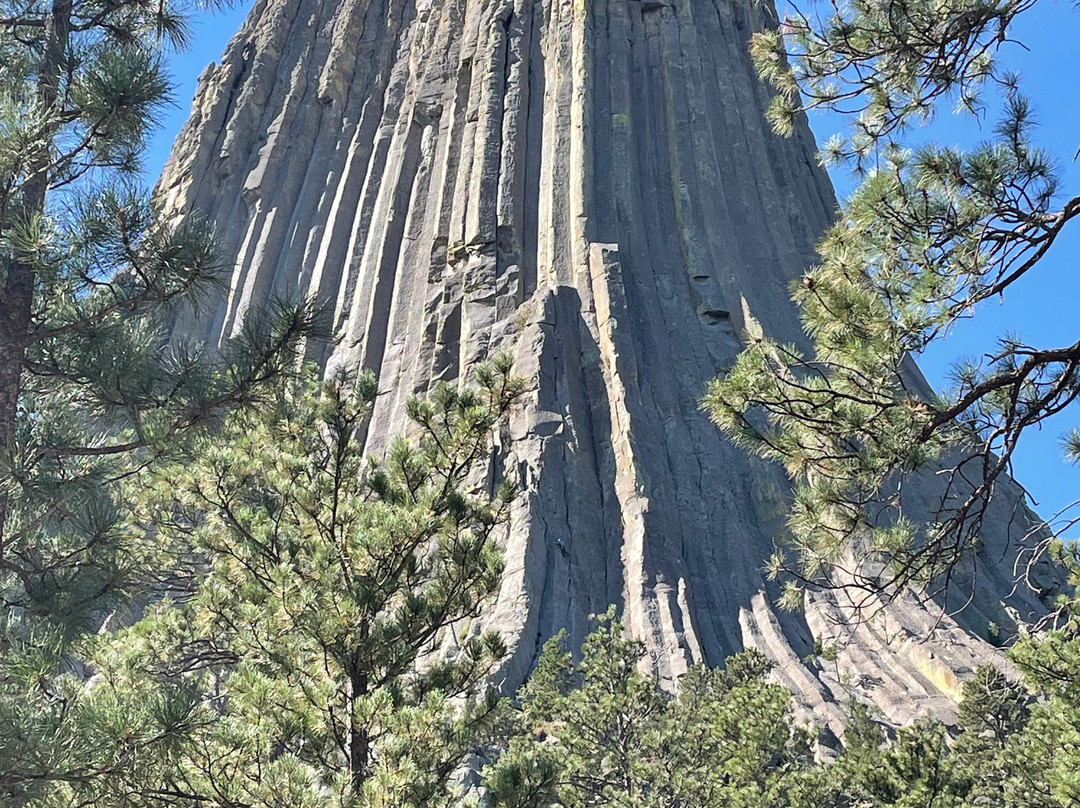 Black Hills Tour Company-拉皮德城必去景点
