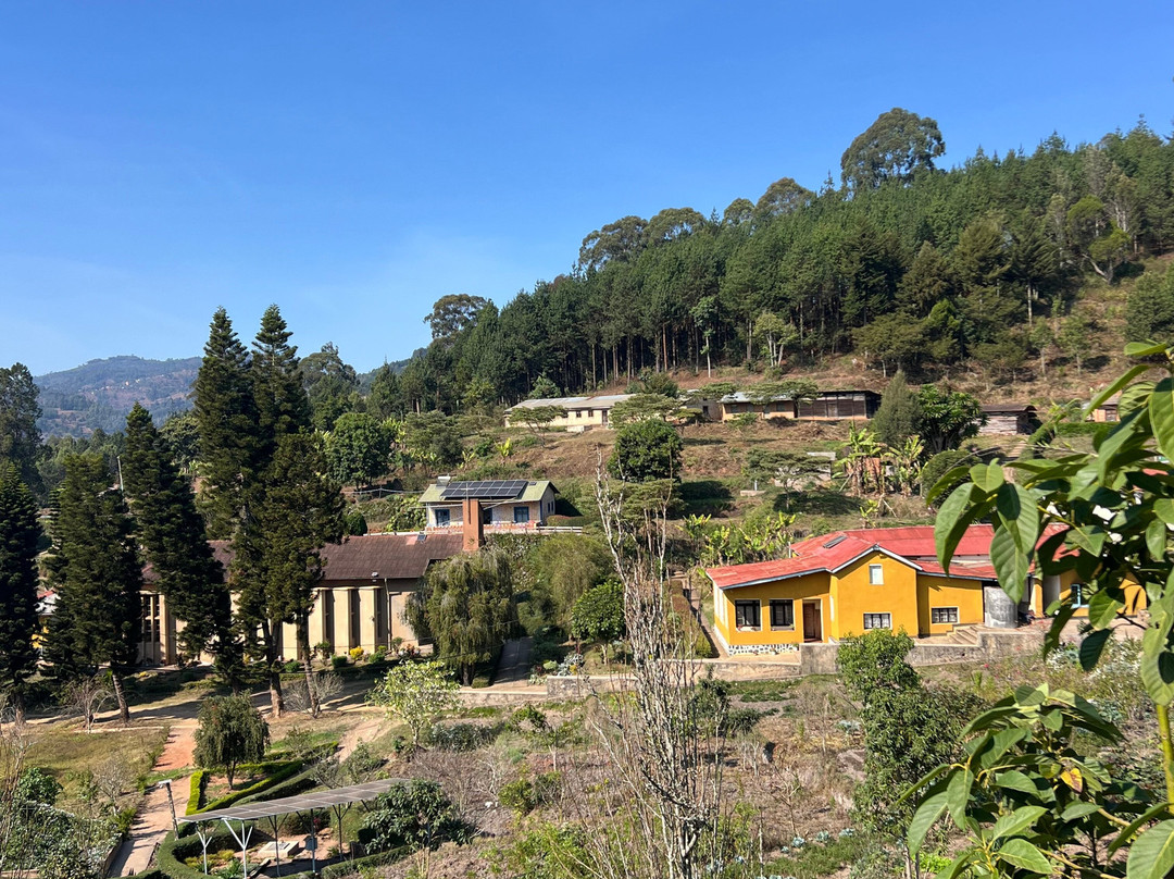 Usambara  Adventures-卢绍托必去景点