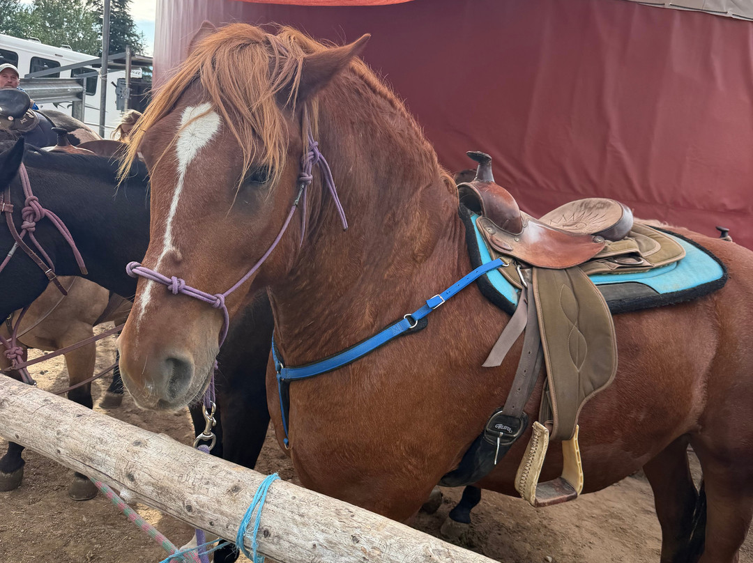 Mountain Horse Adventures-桑德波因特必去景点
