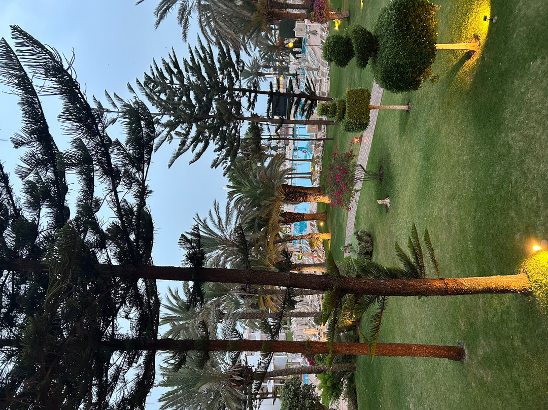 Iberostar Waves Founty Beach -All Inclusive主图