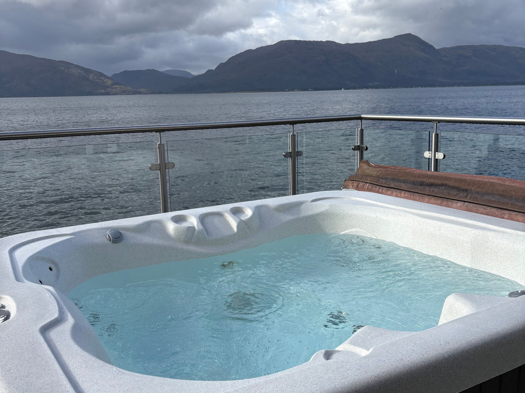 冬青树酒店和游泳池主图