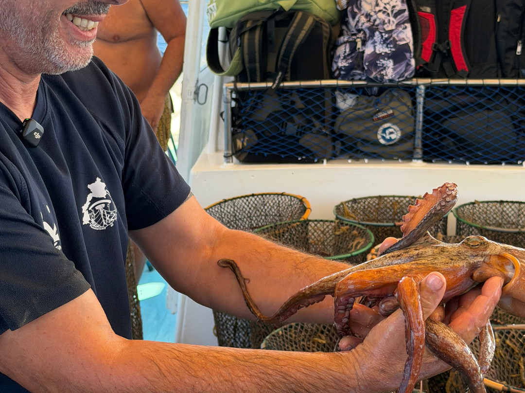 Pescaturismo K2-萨萨里省必去景点