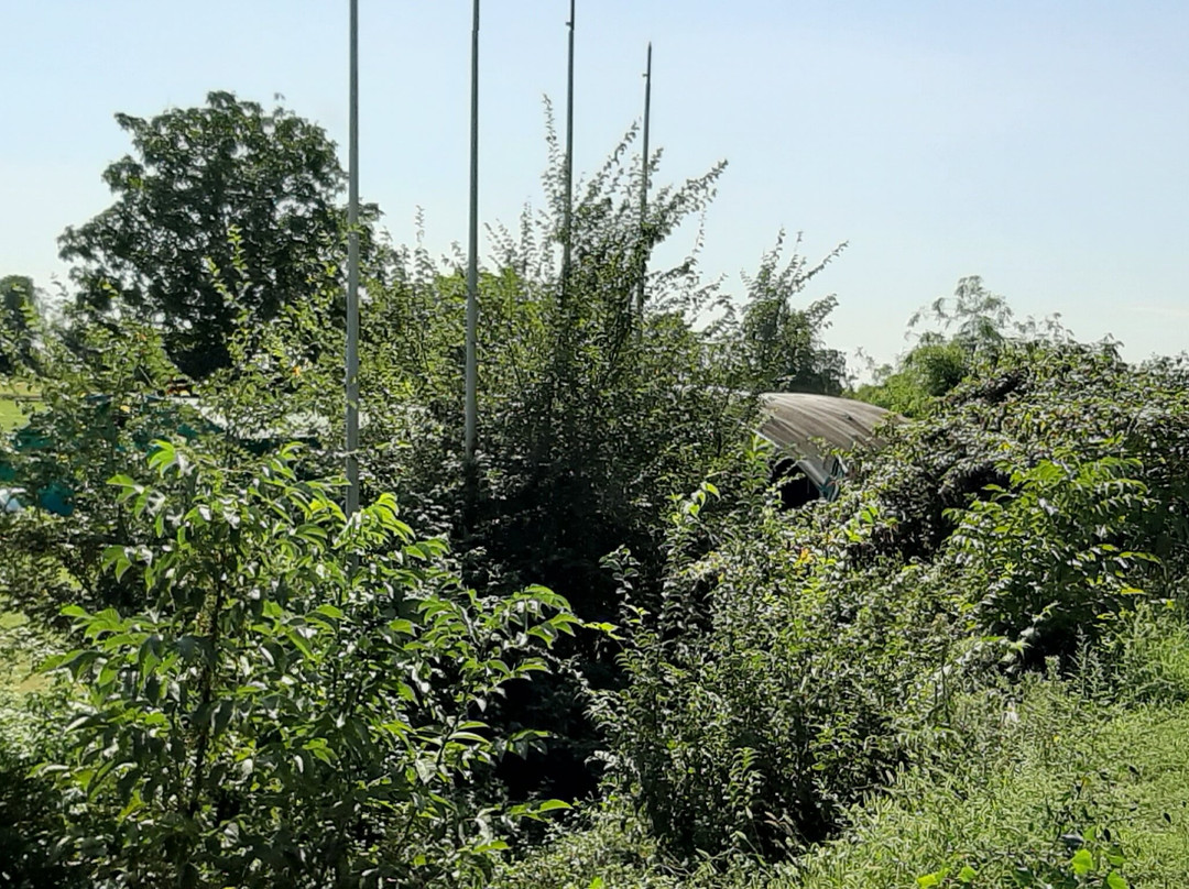 Pista Ciclabile del Fiume Mincio-佩斯基耶拉德尔加尔达必去景点