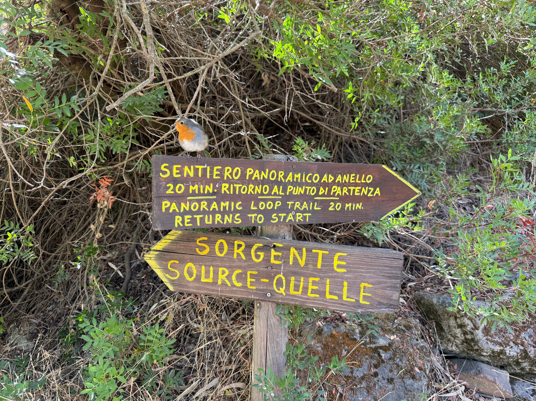 Sorgenti Su Gologone-Oliena必去景点