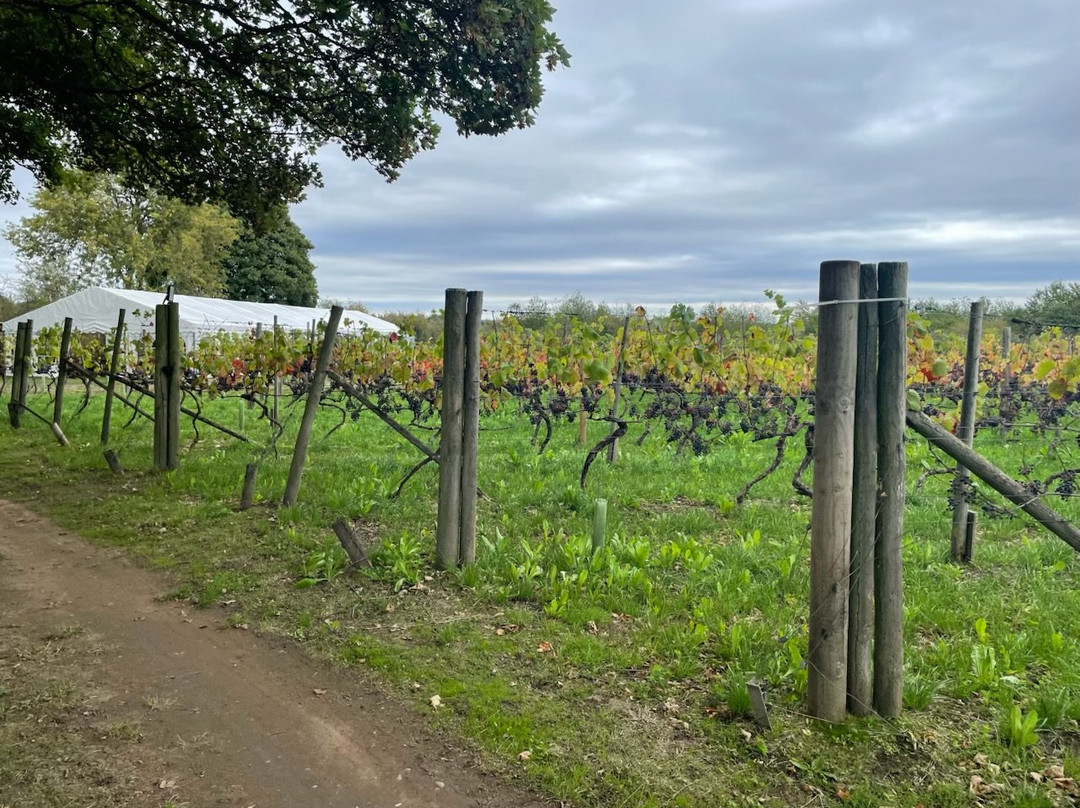 Sealwood Cottage Vineyard-Linton必去景点