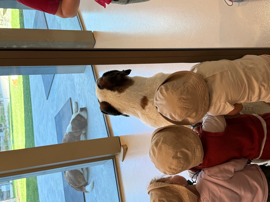 Barryland - Musée et chiens du St-Bernard-马蒂尼必去景点