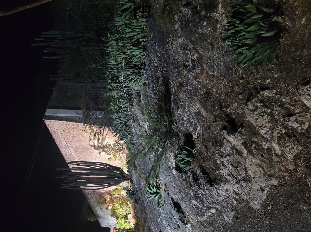 Fort Nassau-威廉斯塔德必去景点