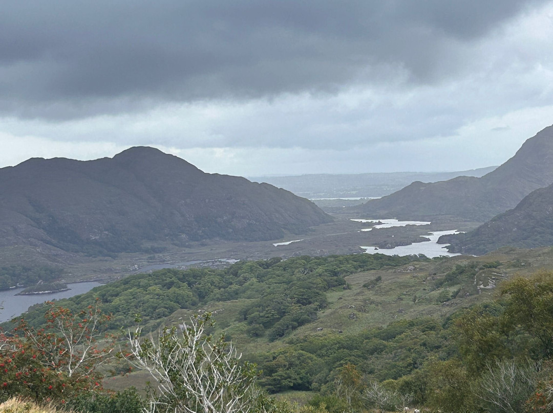 Killarney Fishing Tours-基拉尼必去景点