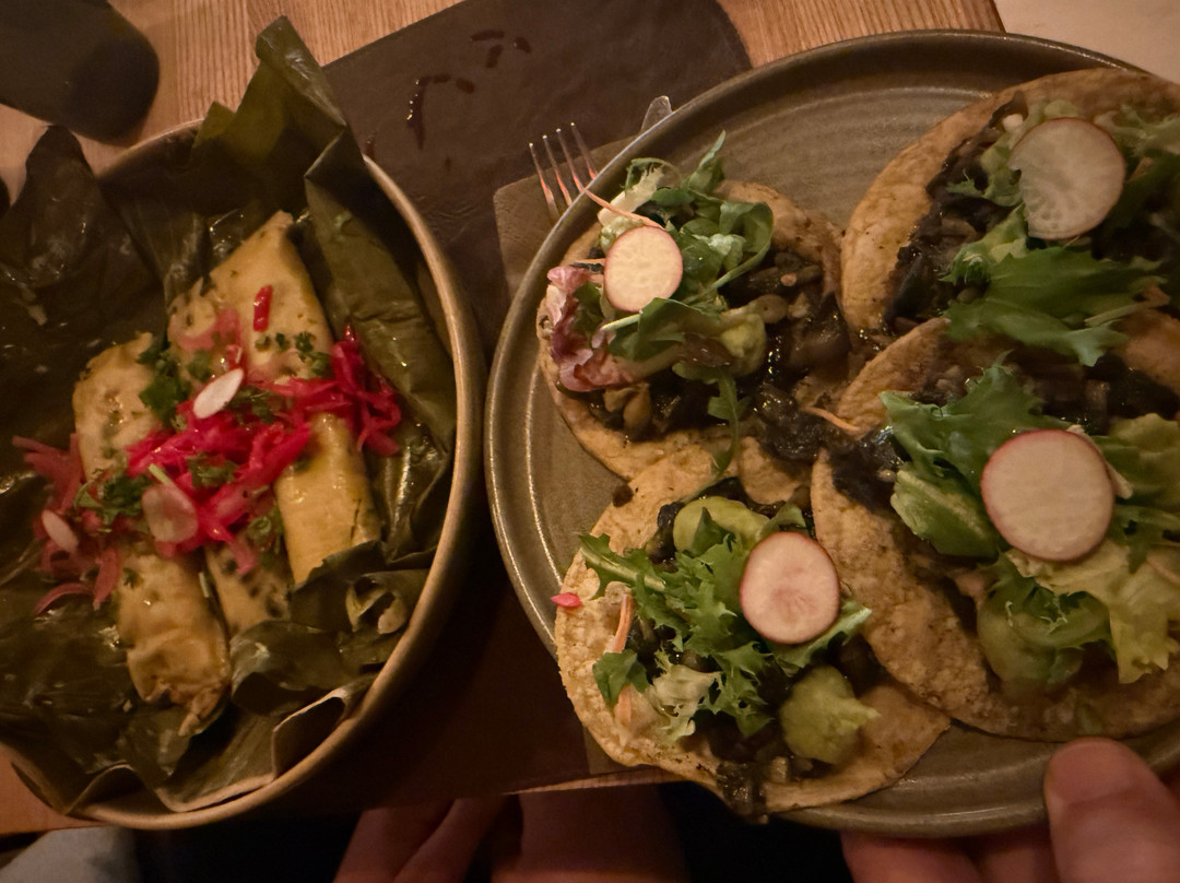 Bacanora Cocina Mexicana Contemporanea