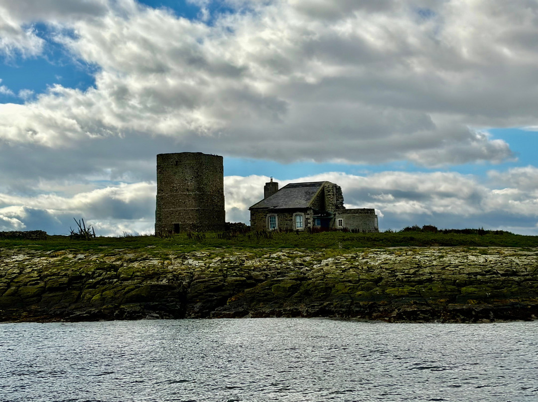 Serenity Farne Island Boat Tours-Seahouses必去景点