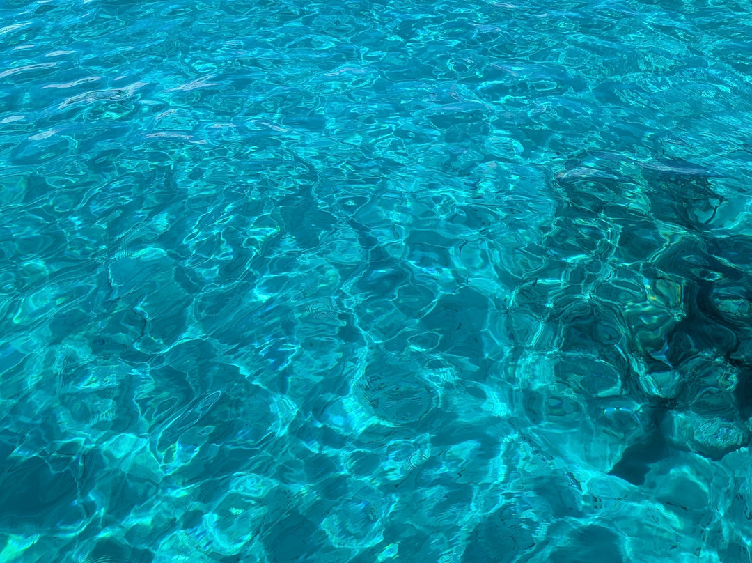CUNA - Gite in Barca a Lampedusa