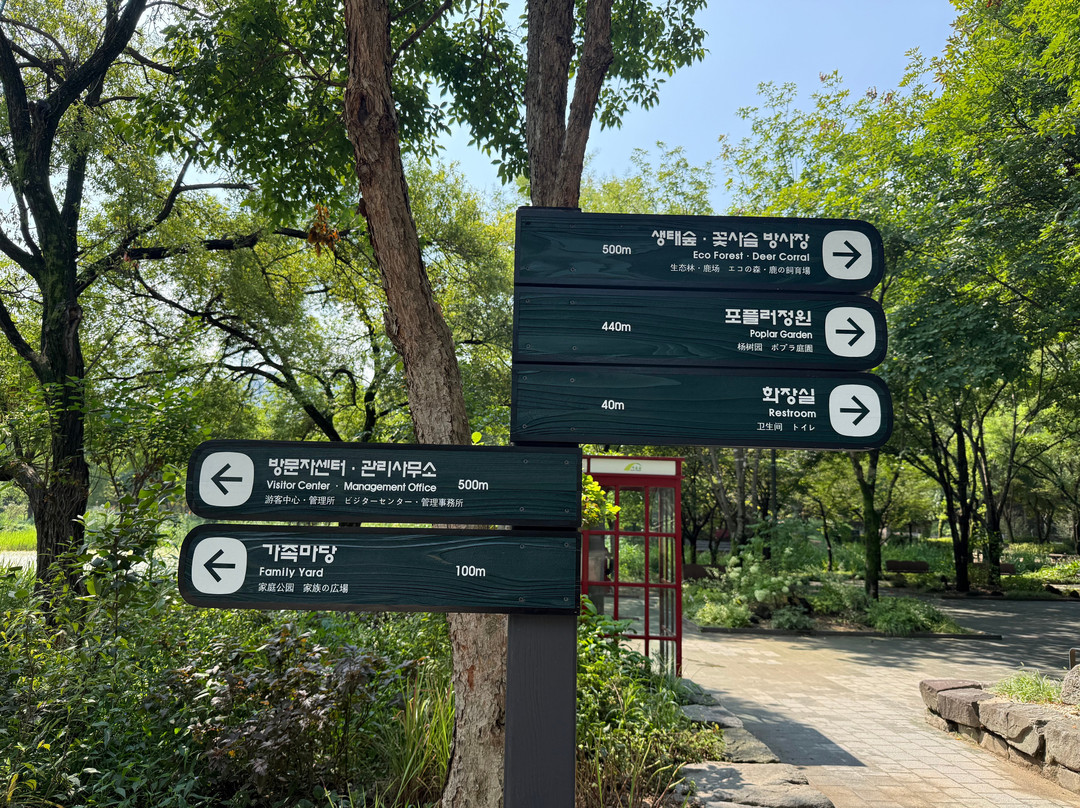 Seoul Forest-首尔必去景点