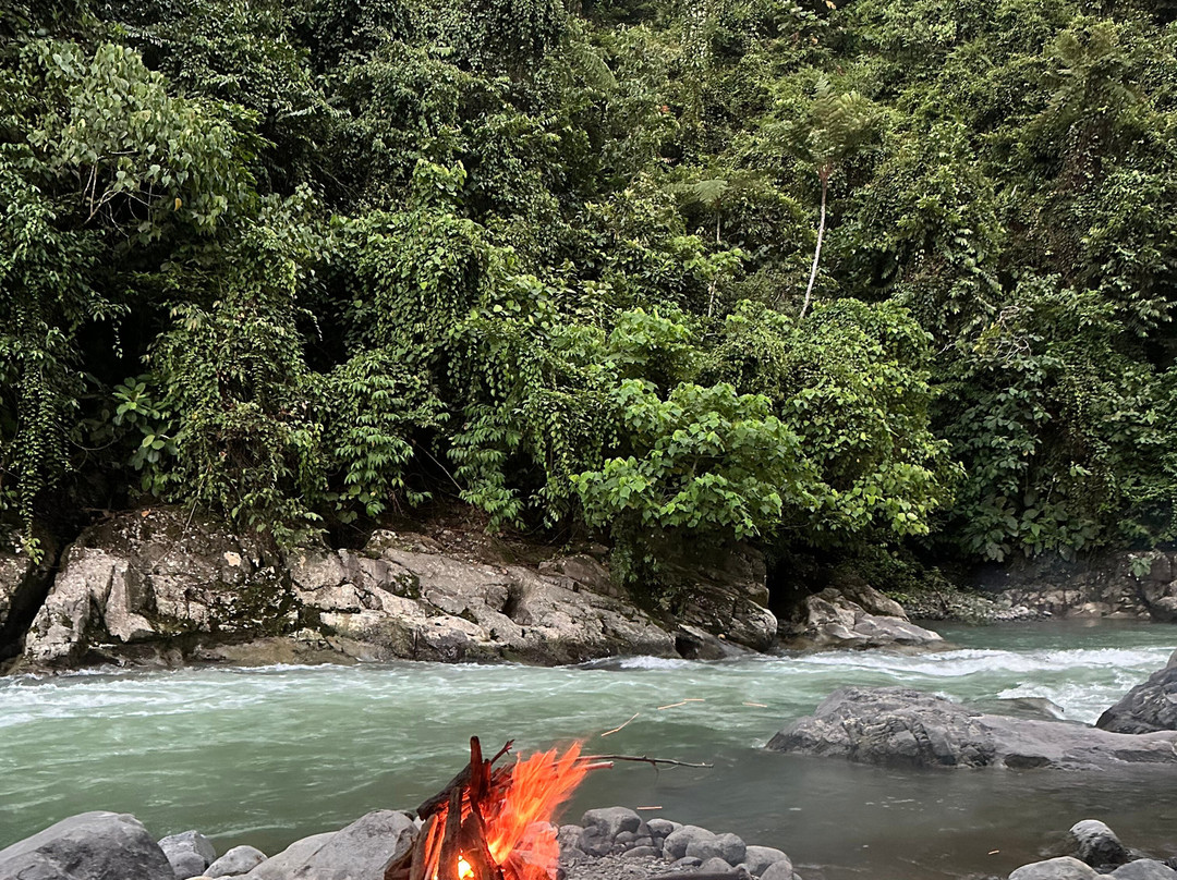 Sumatra Orangutan Explore-武吉拉旺必去景点