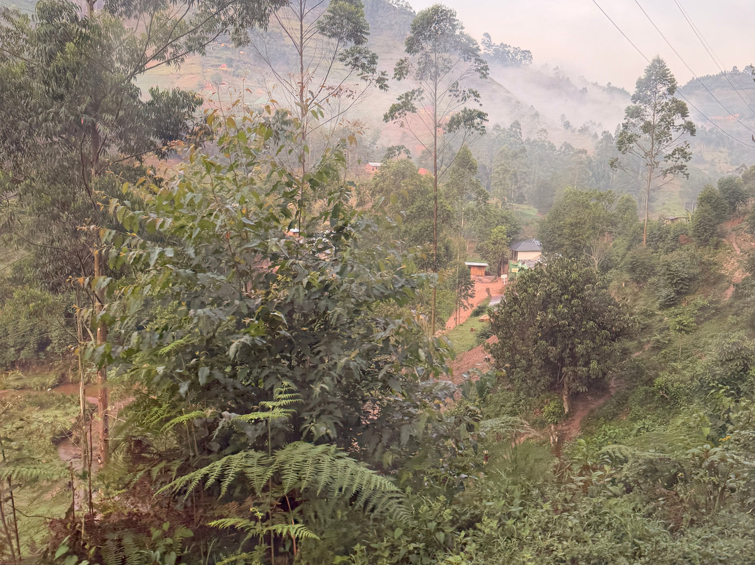 RAW Africa Eco Tours-威廉斯镇必去景点