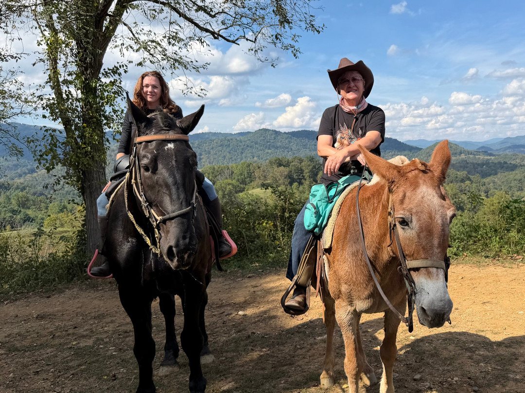 Sandy Bottom Trail Rides-Marshall必去景点