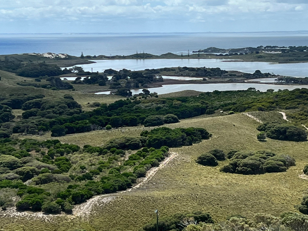 Wadjemup Lighthouse-罗特尼斯岛必去景点