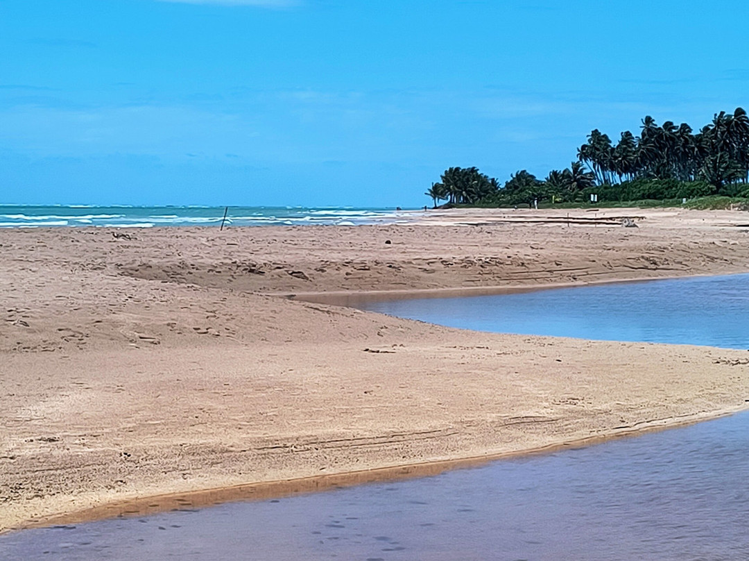 Riacho Beach-Sao Miguel dos Milagres必去景点